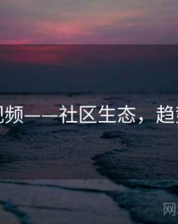 蘑菇视频——社区生态，趋势前瞻