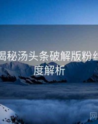 老用户揭秘汤头条破解版粉丝狂欢深度解析