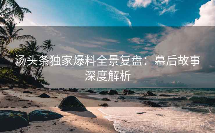 汤头条独家爆料全景复盘：幕后故事深度解析