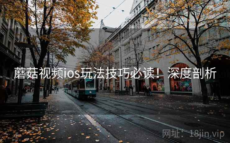 蘑菇视频ios玩法技巧必读！深度剖析
