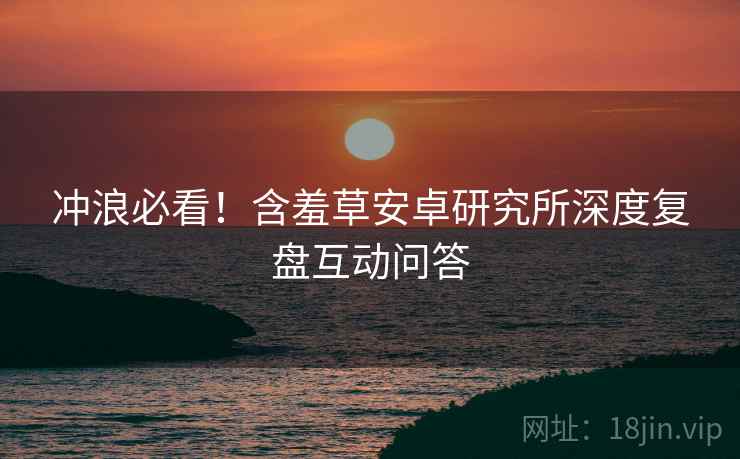 冲浪必看！含羞草安卓研究所深度复盘互动问答