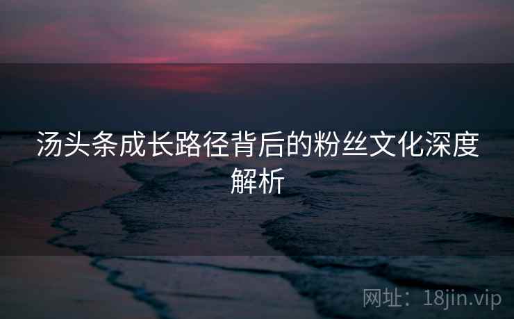 汤头条成长路径背后的粉丝文化深度解析