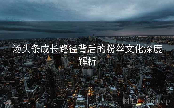 汤头条成长路径背后的粉丝文化深度解析