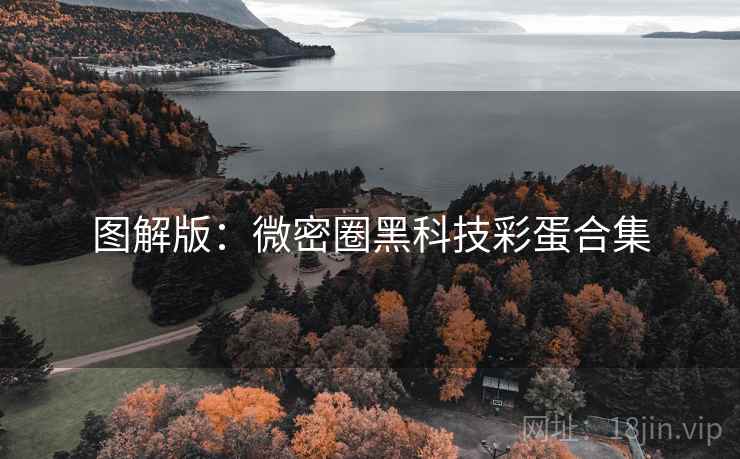 图解版：微密圈黑科技彩蛋合集
