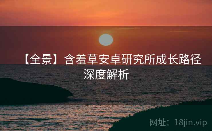 【全景】含羞草安卓研究所成长路径深度解析
